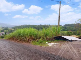 Terreno, foto 1