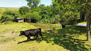 Área rural com 2 dormitórios, foto 9