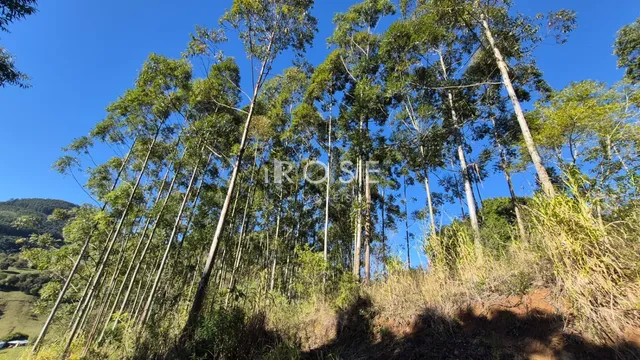 Área rural, foto 3