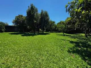 Vista de um gramado verde sob um céu azul claro.