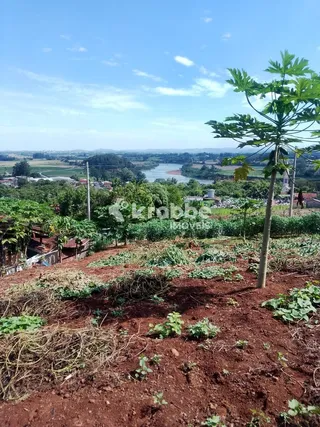 Terreno, foto 2