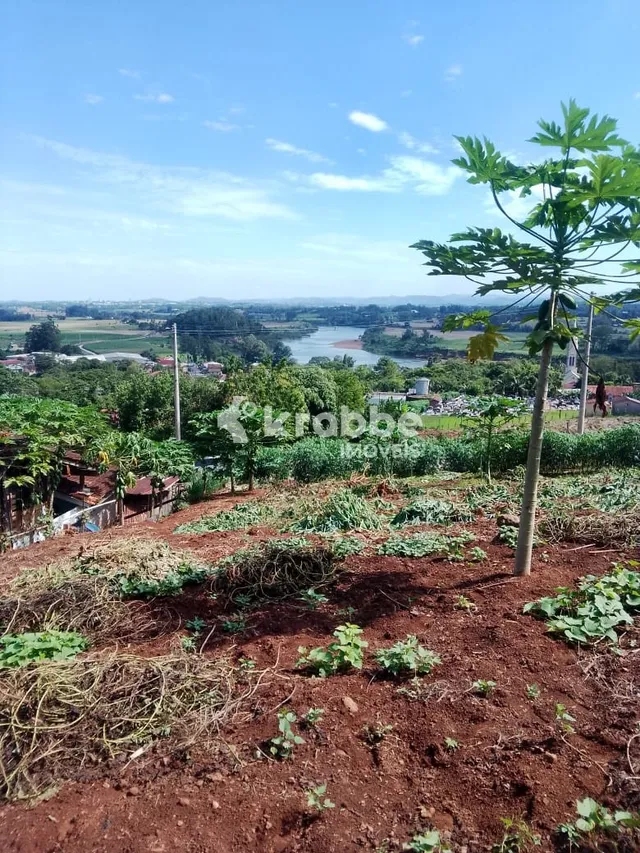 Terreno, foto 2