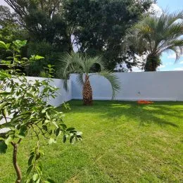 Casa com 4 dormitórios, foto 38