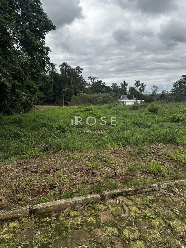 Terreno, foto 2