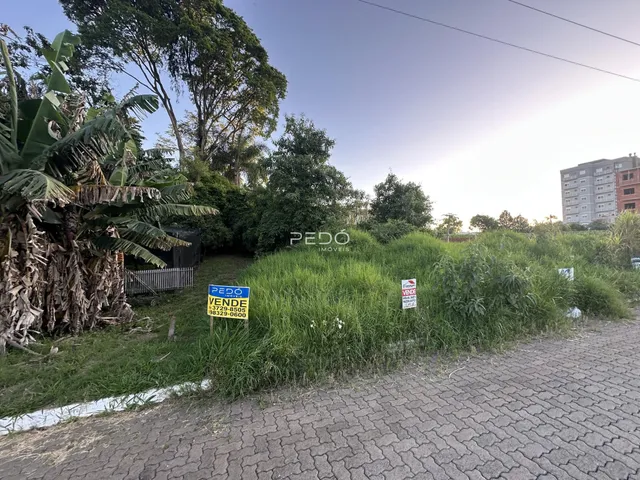 Vista externa de uma propriedade com vegetação densa e cerca no primeiro plano.