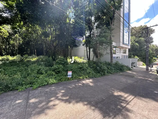 Terreno, foto 2