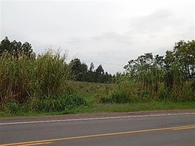 Terreno, foto 4