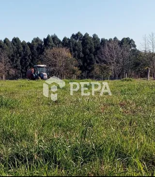 Área rural, foto 1
