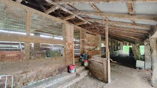 Área rural, foto 6