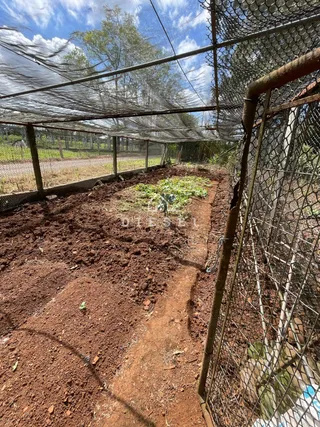 Área rural com 2 dormitórios, foto 14