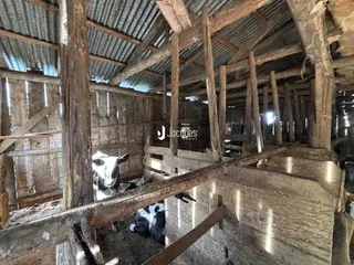 Área rural com 3 dormitórios, foto 11