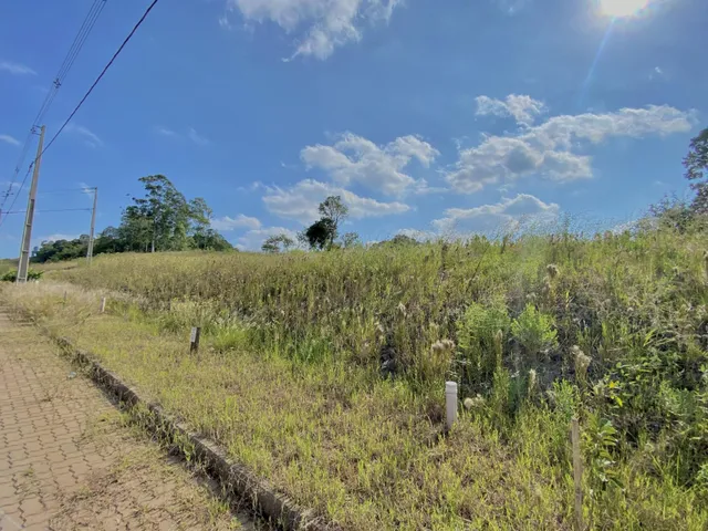 Terreno, foto 3