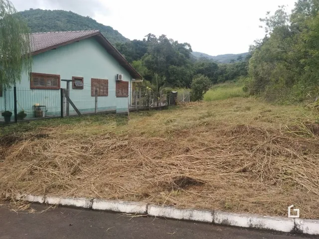 Fachada de casa com área de grama alta e seca ao lado de uma estrada.