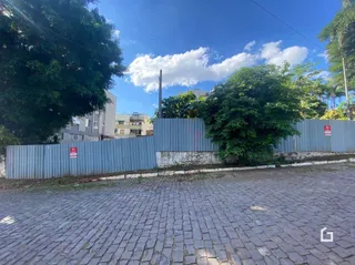 Vista da fachada de uma propriedade com muro e vegetação.