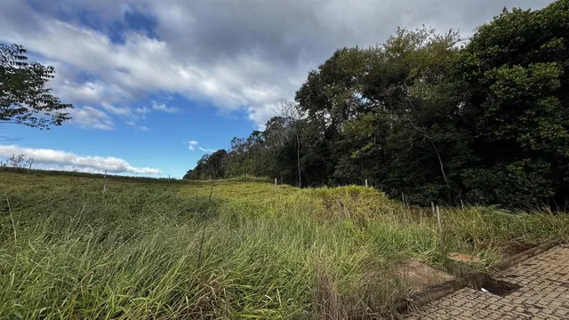 Terreno, foto 3