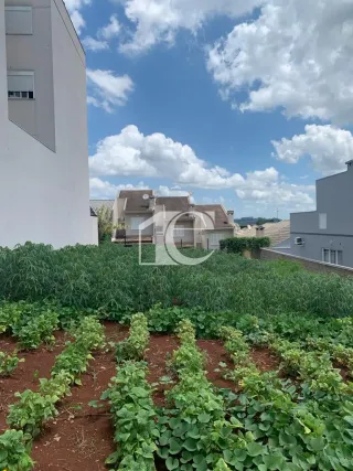 Terreno, foto 4