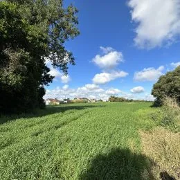 Área rural, foto 7