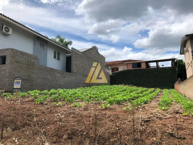 Terreno, foto 3