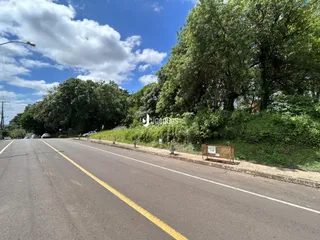 Vista da rua com árvores e gramado ao lado da propriedade.
