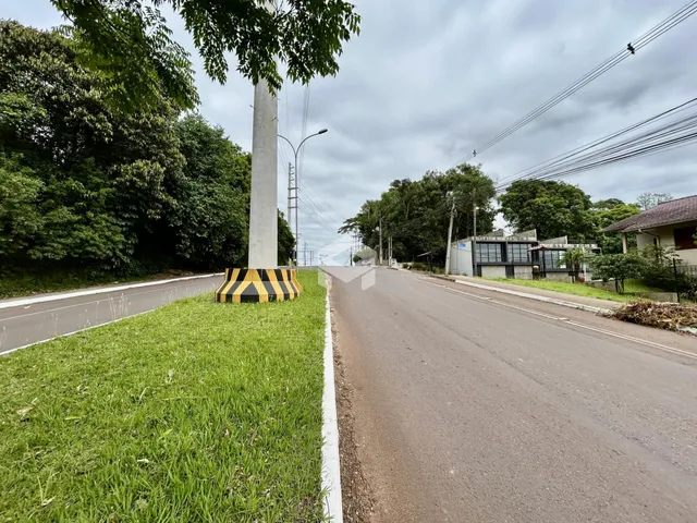 Vista da estrada com grama e árvores ao lado.