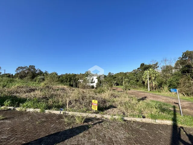 Vista da propriedade com vegetação e área pavimentada.