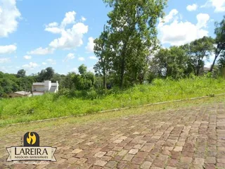 Terreno, foto 3