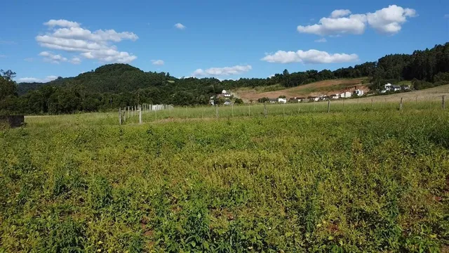 Terreno, foto 2
