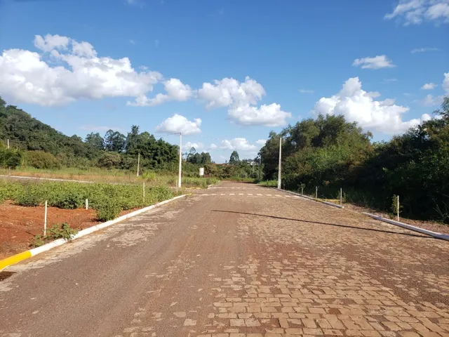 Vista de uma estrada asfaltada em uma área verde com vegetação densa.
