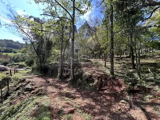 Área rural, foto 4