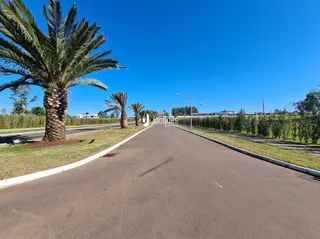 Vista de uma rua asfaltada com palmeiras e vegetação ao longo da paisagem.