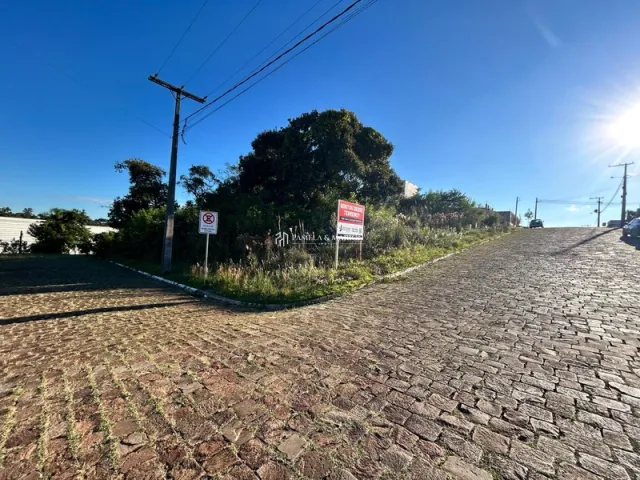 Vista de uma rua pavimentada em Lajeado, Brasil, com vegetação ao lado.