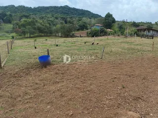 Área rural com 3 dormitórios, foto 6
