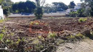 Terreno, foto 1
