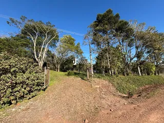 Área rural com 2 dormitórios, foto 3