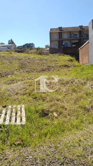 Terreno, foto 2