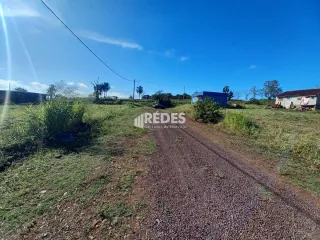 Vista de uma estrada de terra em uma área gramada no exterior.
