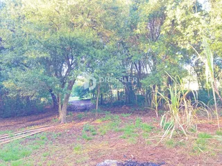 Área rural, foto 13