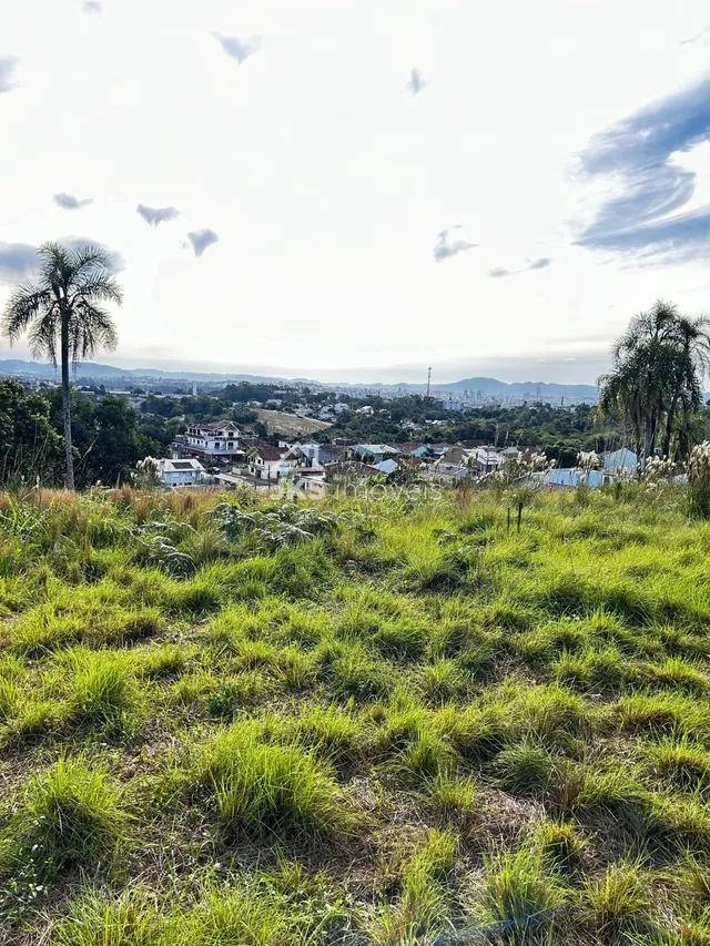 Terreno, foto 2
