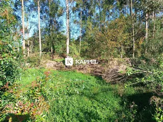 Terreno, foto 6