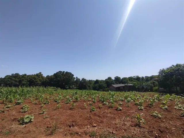 Terreno, foto 2