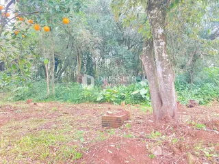 Terreno, foto 11