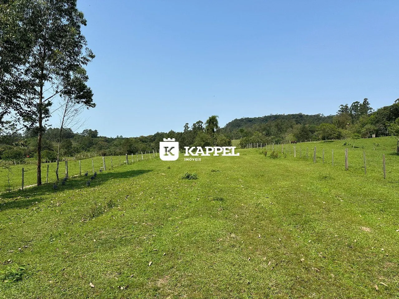 Área rural, foto 1