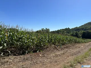 Área rural, foto 3