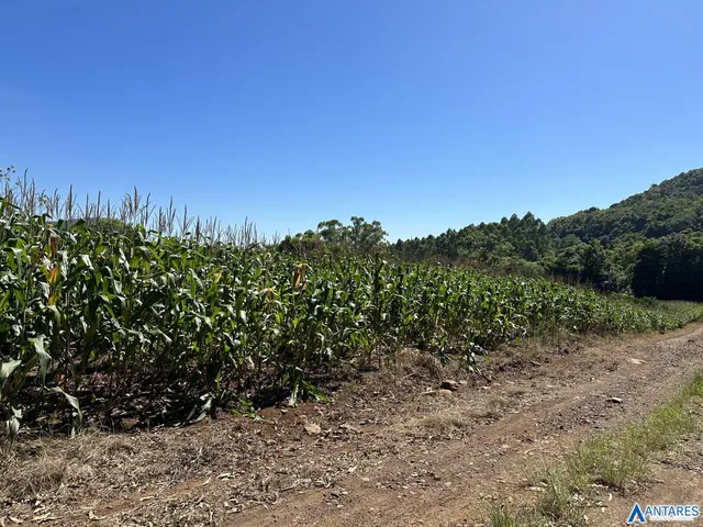 Área rural, foto 3
