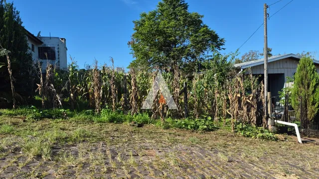 Terreno, foto 3