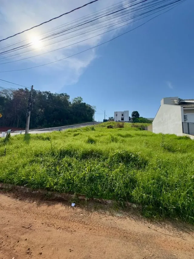 Terreno
