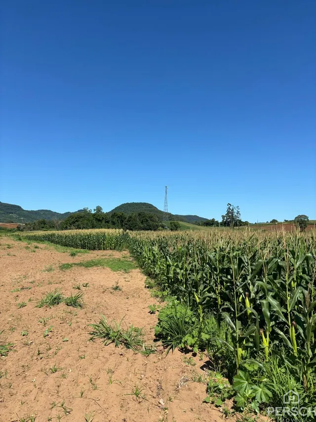 Área rural, foto 5