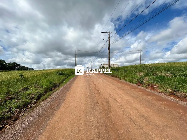 Vista de uma estrada de terra que atravessa um campo gramado sob um céu nublado.