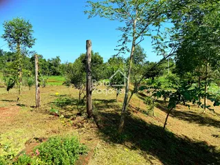 Área rural com 3 dormitórios, foto 25