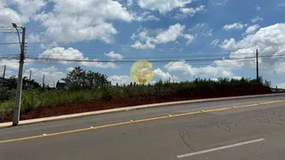 Terreno, foto 1